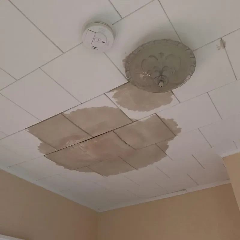 Ceiling Water Damage Repair in Barboursville, WV