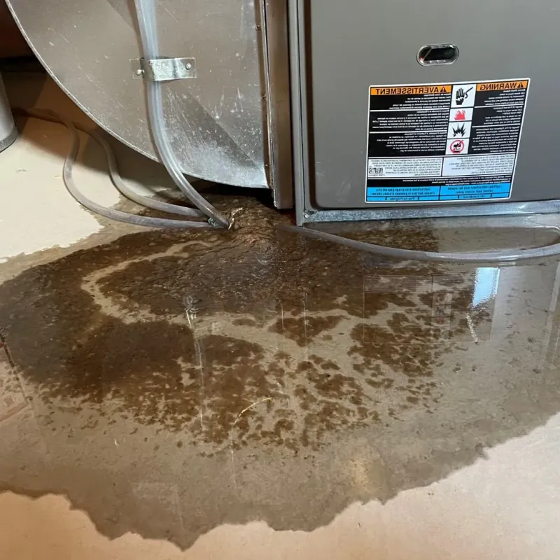 Pipe Burst and Leak Restoration in Barboursville, WV