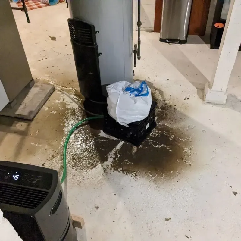 Sewage Backup Cleanup Service in Barboursville, WV